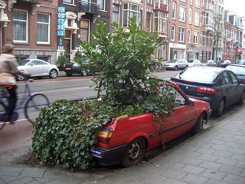 Un arbre dans une voiture